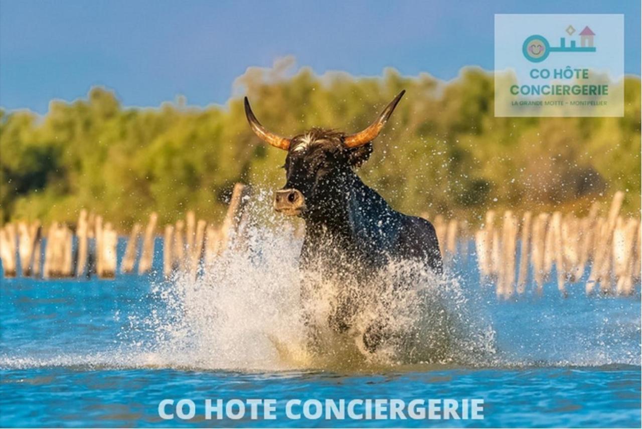Corail Studio - 2Min Plage Centre Ville - Clim - Wifi - Parking Prive - Ideal Famille - La Grande Motte Εξωτερικό φωτογραφία
